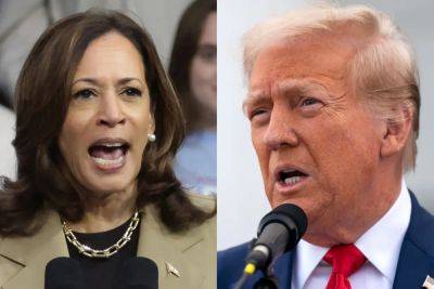 Joe Biden - Kamala Harris - Gustaf Kilander - Bill - Harris vs Trump: How the presidential candidates compare on economic policy - independent.co.uk - Usa - state Nevada - county White - city Las Vegas, state Nevada