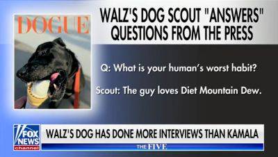 Joe Biden - Kamala Harris - Martha Maccallum - Alexander Hall - Jeanine Pirro - Tim Walz - Tim Walz’s dog has done more interviews than VP Harris since she became nominee - foxnews.com - state Minnesota