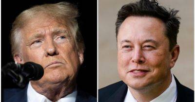 Donald Trump - Ron Desantis - Elon Musk - America Pac - Strategist Who Ran DeSantis' Ill-Fated Bid Is Working With Musk To Help Organize Voters For Trump - huffpost.com - state Florida - city Tallahassee - city Tampa