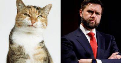 FYI, JD Vance Isn't The First Man To Resent Cat Ladies — They've Always Been Politicized