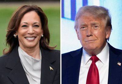 Joe Biden - Donald Trump - Kamala Harris - Elon Musk - Alicja Hagopian - Harris campaign rakes in double the amount of Trump’s fundraising haul in July - independent.co.uk - Usa