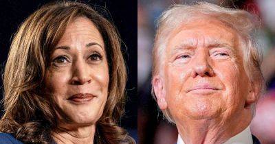Joe Biden - Donald Trump - Kamala Harris - Yamiche Alcindor - Brian Hughes - How the polling landscape has changed in the last two weeks: From the Politics Desk - nbcnews.com