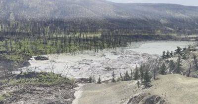 Amy Judd - Aerial video of B.C. landslide is ‘overwhelming’, ’emotional,’ says First Nation’s chief - globalnews.ca