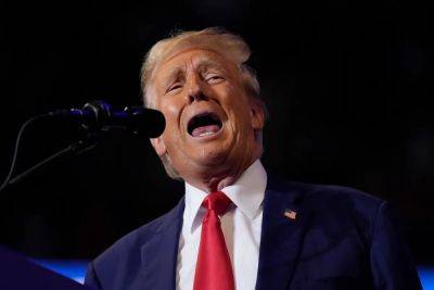 Joe Biden - Donald Trump - Kamala Harris - Oliver Browning - As Donald - Watch as Donald Trump delivers remarks on the economy at Pennsylvania rally - independent.co.uk - state Pennsylvania - city Chicago - county Harris