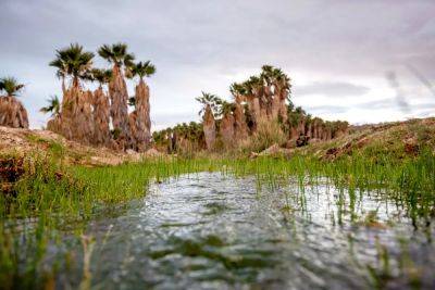 U.S.District - Action - Judge blocks Arizona lithium drilling that tribe says is threat to sacred lands - independent.co.uk - Usa - state Colorado - state Arizona - Australia - city Las Vegas - city Phoenix - city Sandy