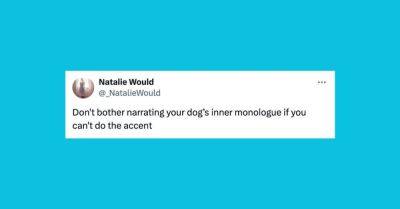 Elyse Wanshel - 22 Of The Funniest Tweets About Cats And Dogs This Week (Aug. 17-23) - huffpost.com