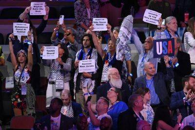 Kamala Harris - George W.Bush - John Maccain - Eric Garcia - Cori Bush - Kamala Harris mentioned Palestinians in her DNC speech. But what can Uncommitted delegates expect now? - independent.co.uk - Israel - state Missouri - Palestine - city Chicago