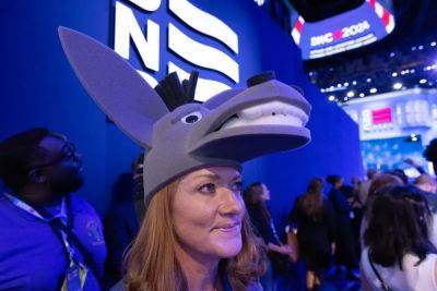 Ariana Baio - Shawn Fain - Tim Walz - Harris Walz - Big cheese and crab hats: The most ridiculous outfits spotted at the DNC - independent.co.uk - Usa - state Illinois - city Chicago, state Illinois