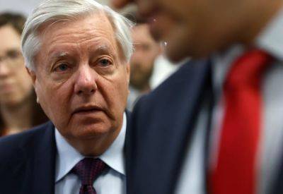 Donald Trump - Kamala Harris - Lindsey Graham - John Bowden - Lindsey Graham pressed by CNN over claim Trump would protect reproductive freedom - independent.co.uk - state South Carolina - county White - city Chicago