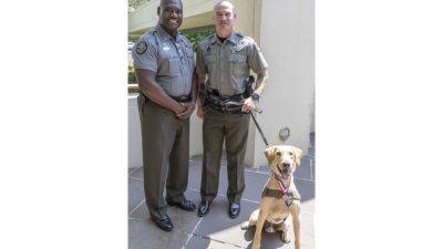 Mississippi wildlife officer and K-9 receive medal for finding 3 missing children - apnews.com - Jackson, state Mississippi - state Mississippi - county Monroe