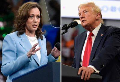 Joe Biden - Donald Trump - Kamala Harris - Joe Sommerlad - Tim Walz - All the lies Trump has told about Harris – and her claims about him - independent.co.uk - Usa - state Florida - city Chicago