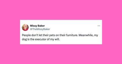 Elyse Wanshel - 21 Of The Funniest Tweets About Cats And Dogs This Week (July 27-Aug. 2) - huffpost.com