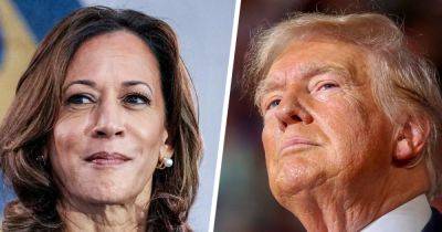 Election 2024: Harris touts economic goals in first interview following nomination; Trump promises IVF coverage