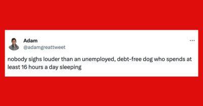 22 Of The Funniest Tweets About Cat And Dogs This Week (Aug. 24-30)