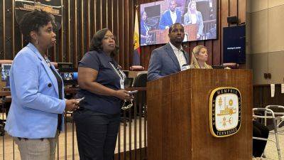 Memphis City Council sues to reinstate gun control measures on November ballot