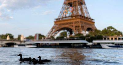 Olympics Swimming Test Canceled Over Water Quality Concerns In Seine