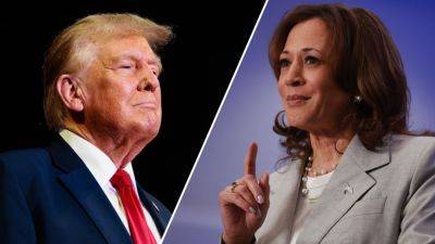 CNN mocked for article accusing Trump campaign of trying to 'goad' Harris into doing an interview