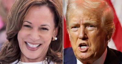 Kamala Harris' Campaign Strikes Rawest Of Nerves For Donald Trump In Mocking New Ad