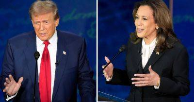 Kamala Harris Baits Donald Trump With Biting Comment About His Rally Sizes