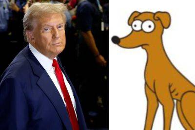 Donald Trump - Kamala Harris - David Muir - Simpsons memes go viral after Trump claims that ‘dogs are being eaten in Springfield’ - independent.co.uk - state Ohio - Haiti - city Springfield, state Ohio