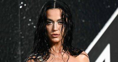 Katy Perry Brings The Heat In Soaking Wet VMAs Look