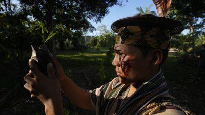 Takeaways from AP’s story on the Ashaninka tribe’s reforestation model in the Brazilian Amazon - apnews.com - Brazil