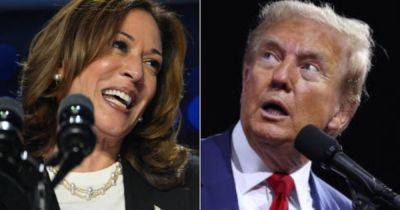 Kamala Harris Campaign Mocks Donald Trump For Apparent Speech Blunder But Gets It All Wrong