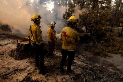 California firefighters’ union slams Trump for threatening to withhold funding: ‘He should be ashamed’