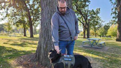 Service dogs are helping veterans with PTSD. A new bill would help expand access