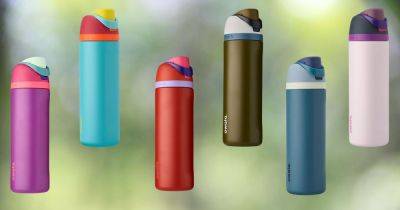 Reviewers Say This Lower-Priced Water Bottle Is Better Than The Stanley