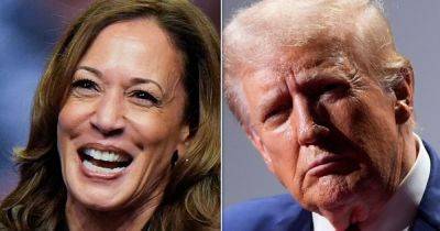 Harris Campaign Trolls Trump With Brutal Reminder Of His Tanking Stock Price