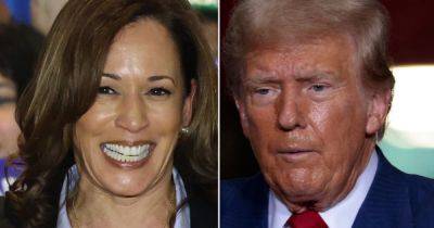 Donald Trump - Kamala Harris - Lee Moran - Kamala Harris Rally Audience Erupts Over Her Response To 'He's Going To Jail' Interruption - huffpost.com - state Wisconsin - city Pittsburgh