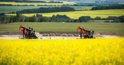 China hits Canada with anti-dumping canola probe after EV tariffs