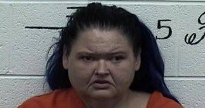 Sarah Do Couto - ‘1,000-Lb. Sisters’ star Amy Slaton arrested on drug, child endangerment charges - globalnews.ca - county Park - state Tennessee