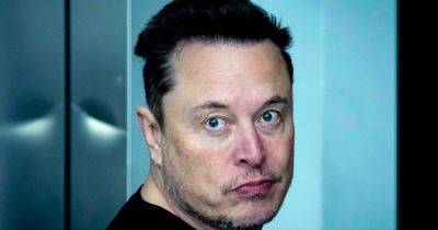 Elon Musk Amplifies Bizarre Post Suggesting 'High Status Males' Should Run Government