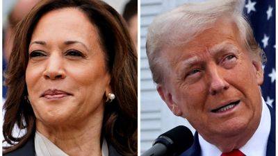 Joe Biden - Donald Trump - Kamala Harris - Hillary Clinton - Kevin Breuninger - Allan Lichtman - Harris will beat Trump, says election prediction legend Allan Lichtman - cnbc.com - Usa - New York - Russia - county Clinton