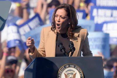 Donald Trump - Kamala Harris - George W.Bush - Joe Sommerlad - Allan Lichtman - Polling expert who has correctly called US elections for 40 years says Kamala Harris will win in November - independent.co.uk - Usa - Washington - New York - Russia - county Power