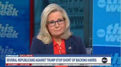 Liz Cheney torches Nikki Haley over support for Donald Trump